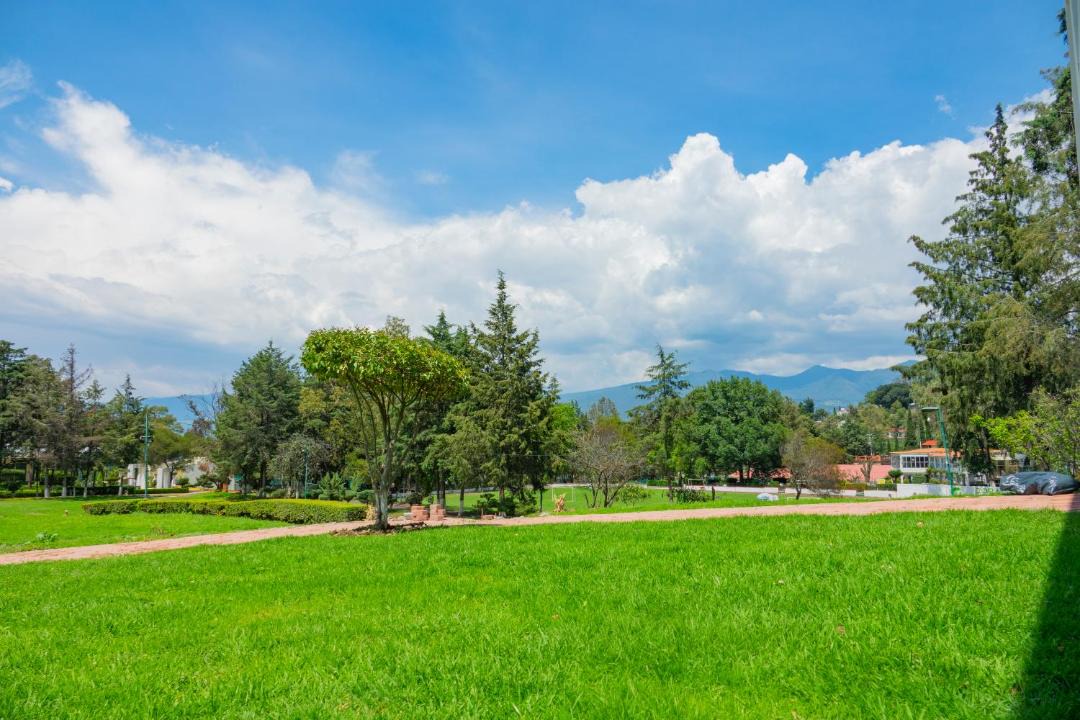Photo of Others in Tlalmanalco