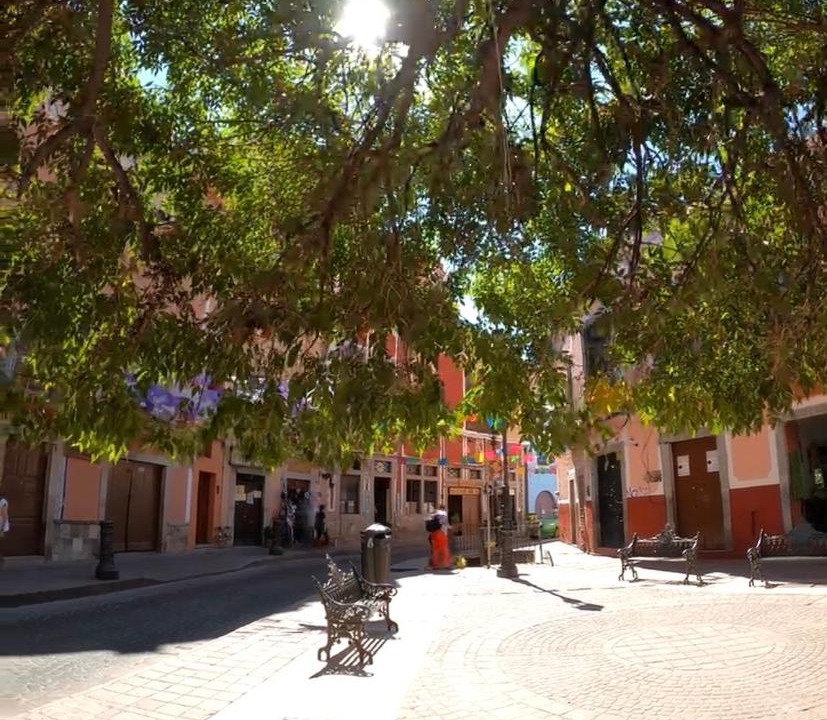 Photo of Others in Zona Centro