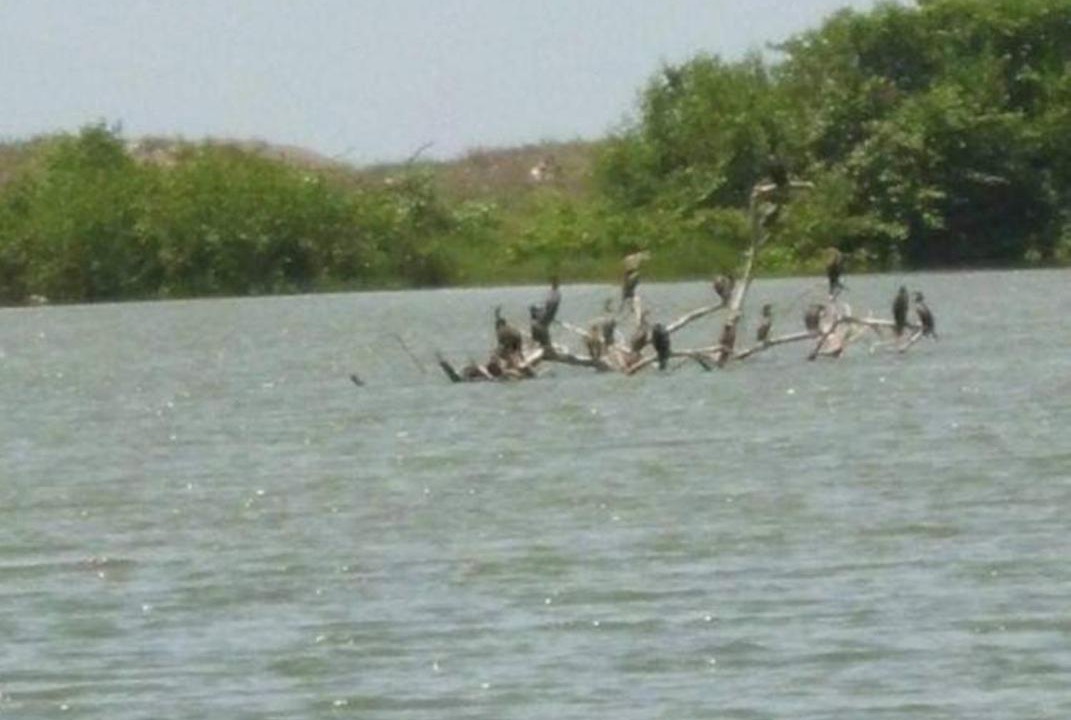 Photo of Others in Nautla