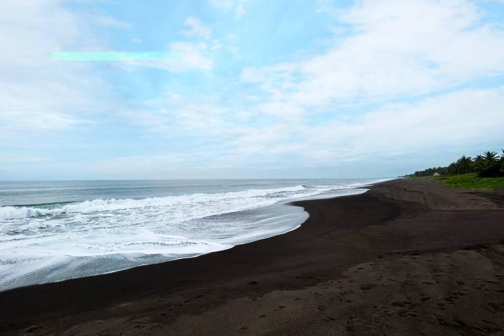 Photo of Others in Monterrico