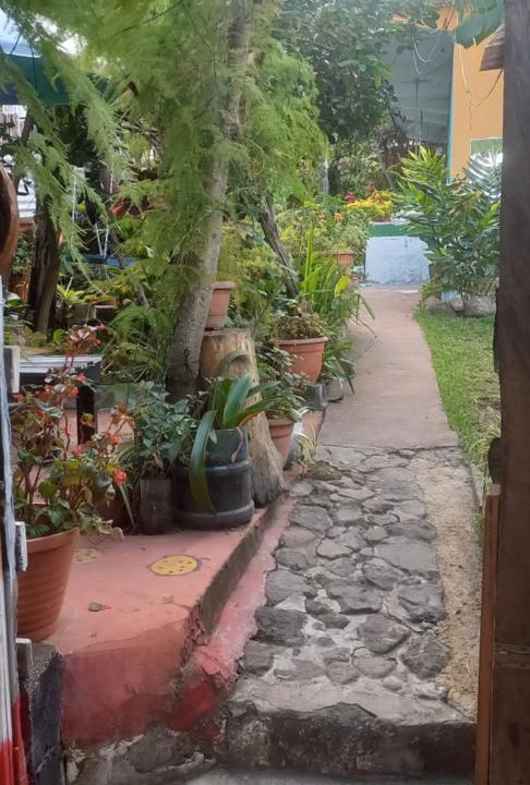 Photo of Others in San Pedro La Laguna