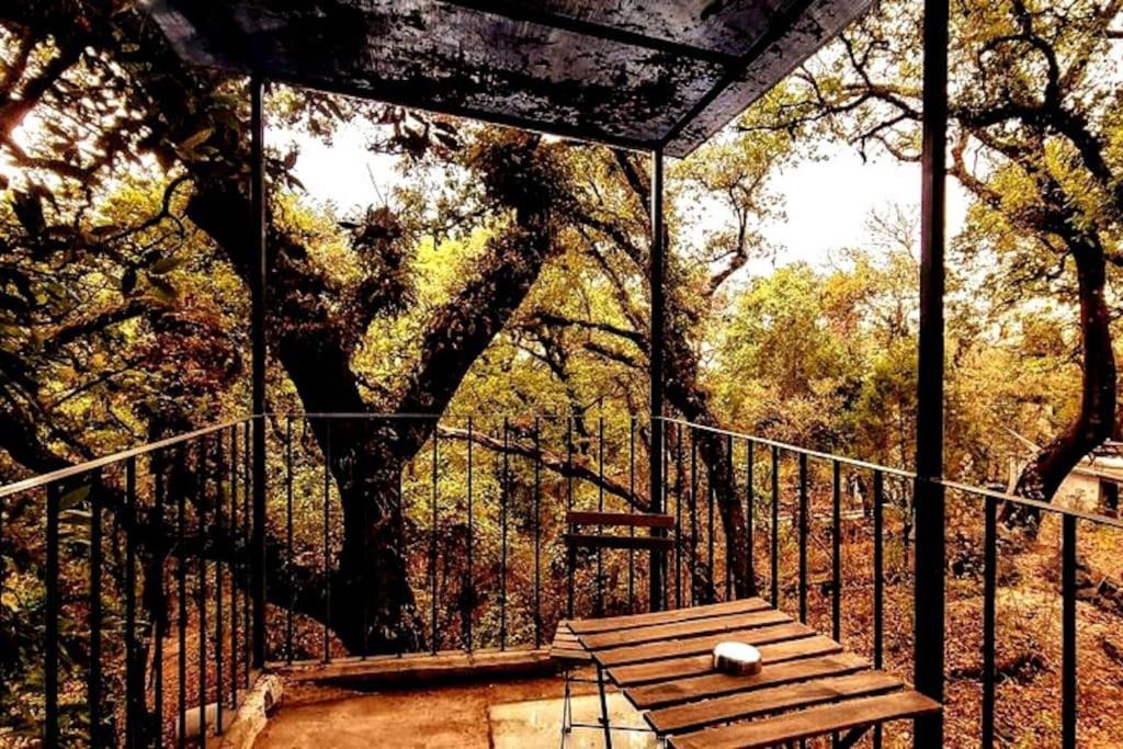 Photo of Others in Tepoztlan