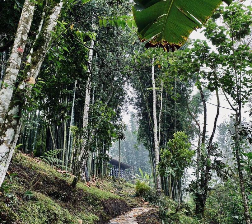 Photo of Others in Cuetzalan del Progreso
