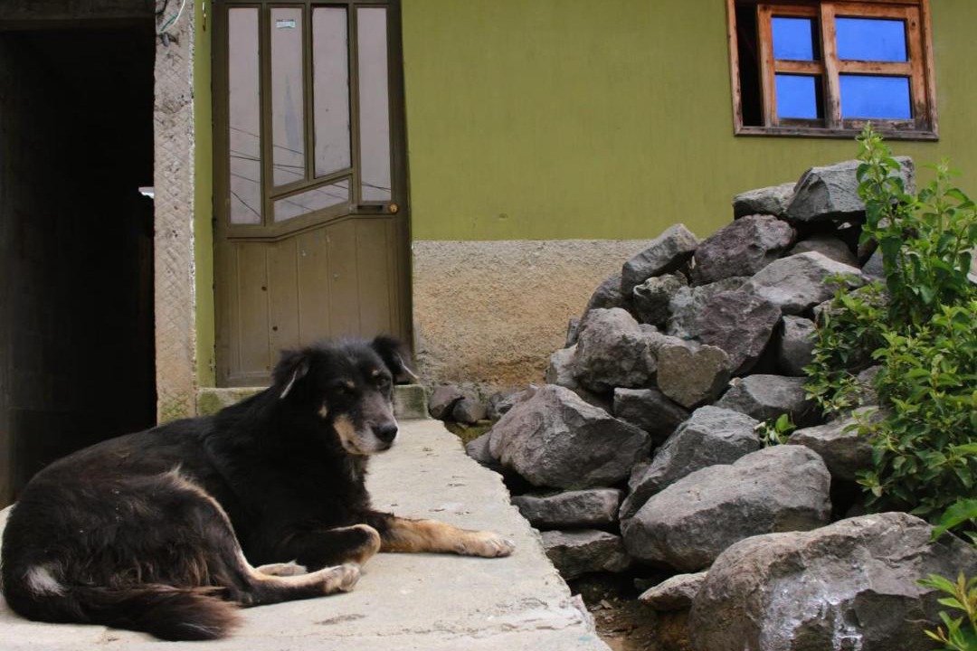 Photo of Others in Santa Cruz La Laguna