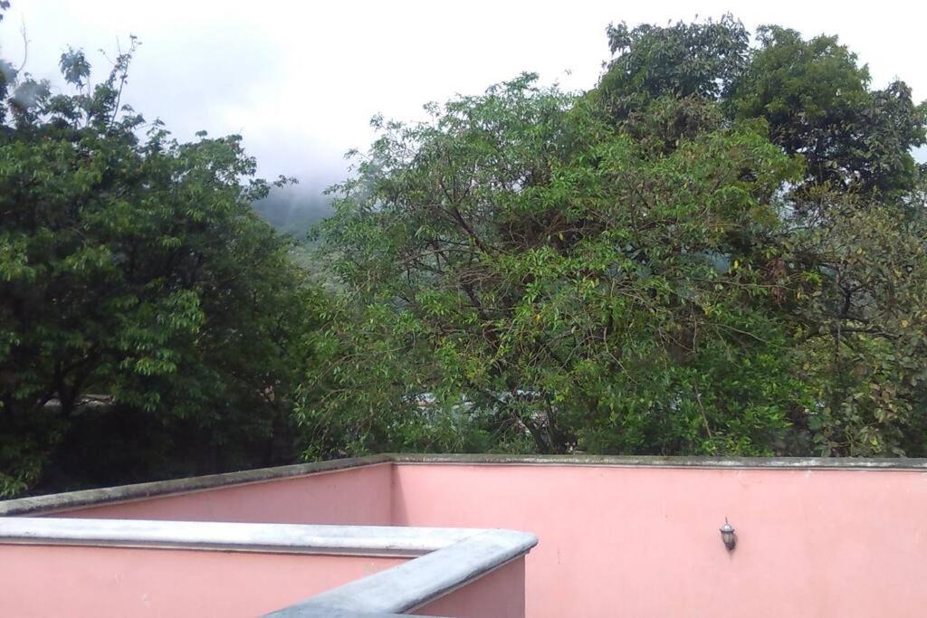 Photo of Others in Rafael Delgado