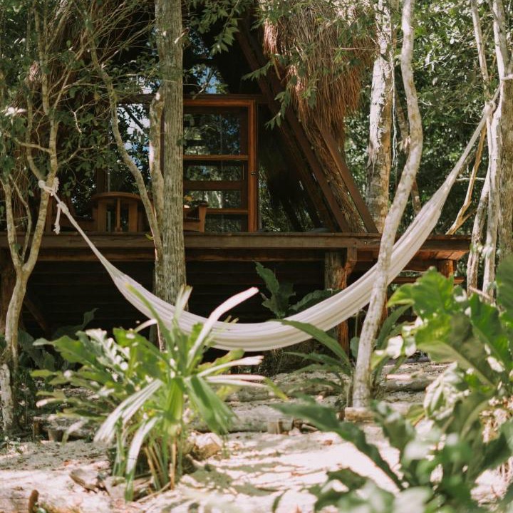 Photo of Others in Buenavista