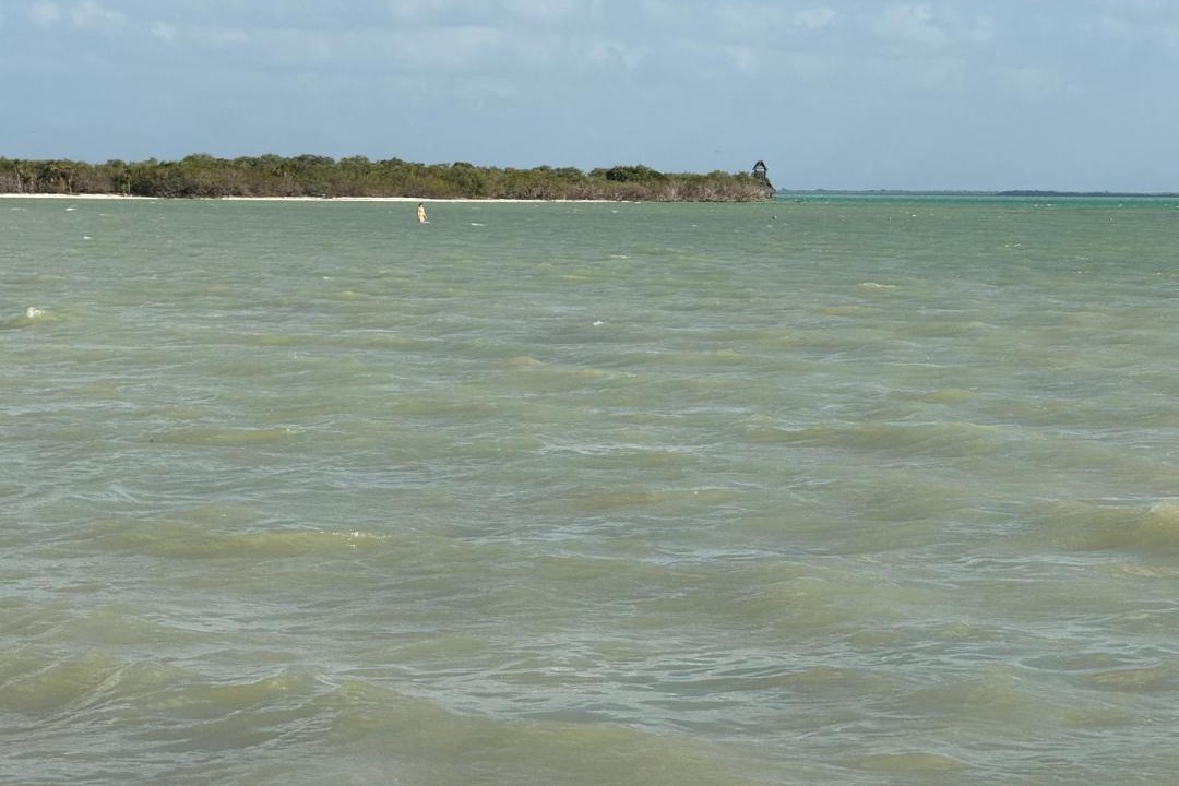 Photo of Others in Isla Holbox