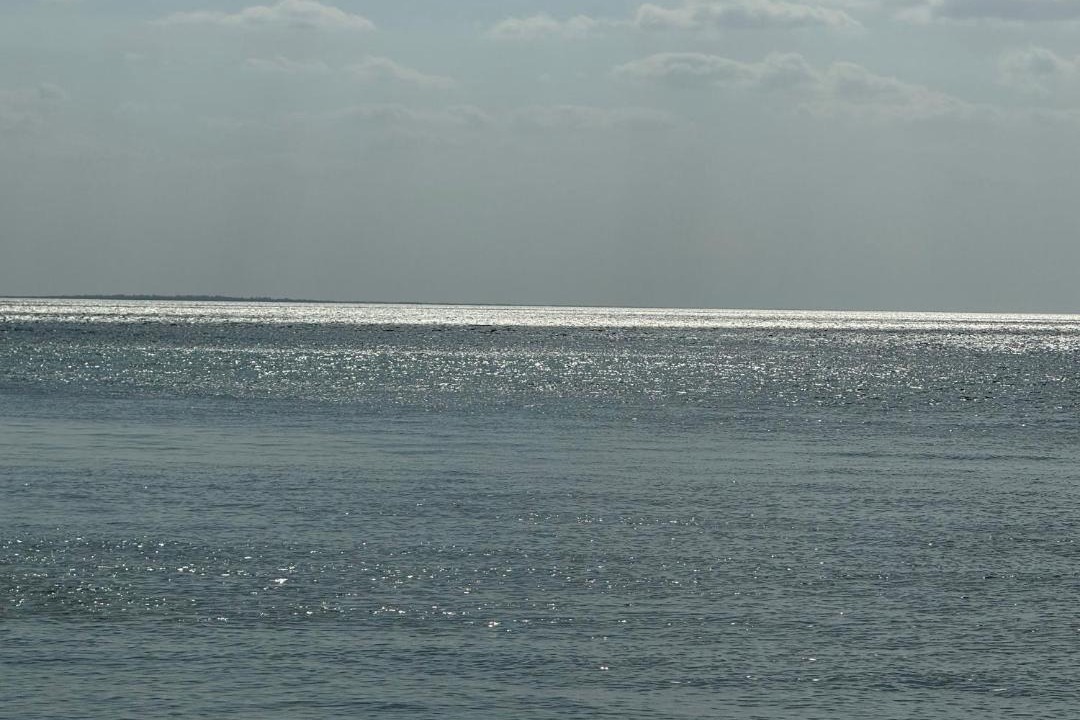 Photo of Others in Isla Holbox