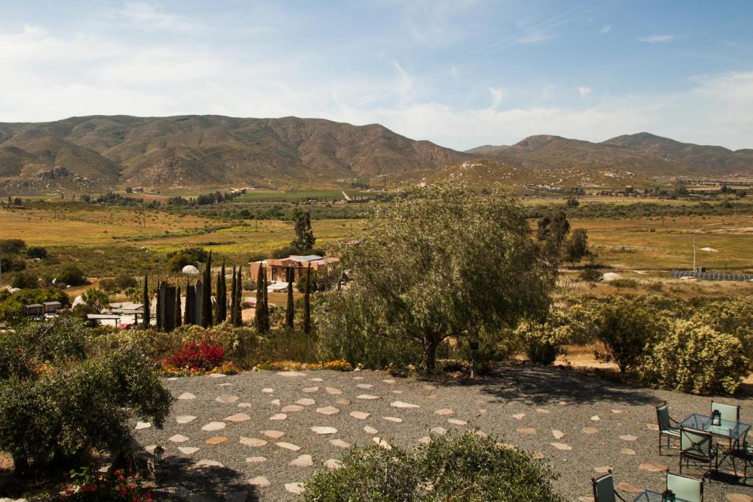 Photo of Others in Valle de Guadalupe