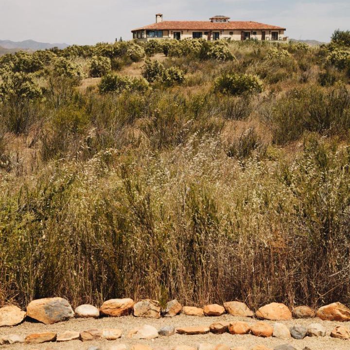 Photo of Others in Valle de Guadalupe