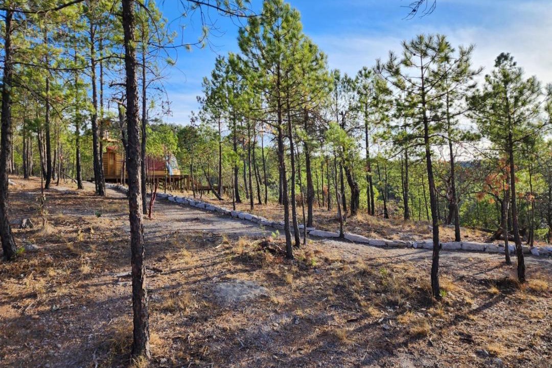 Photo of Outdoor in Durango