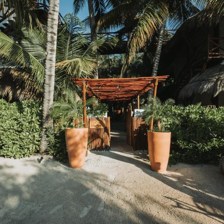 Photo of Others in Isla Holbox