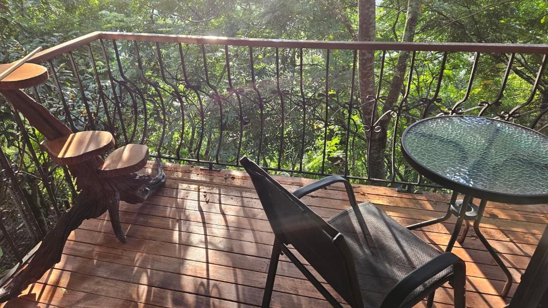 Photo of Patio Balcony in Zona 16