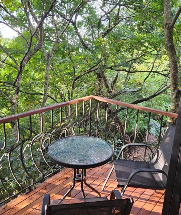Photo of Patio Balcony in Zona 16