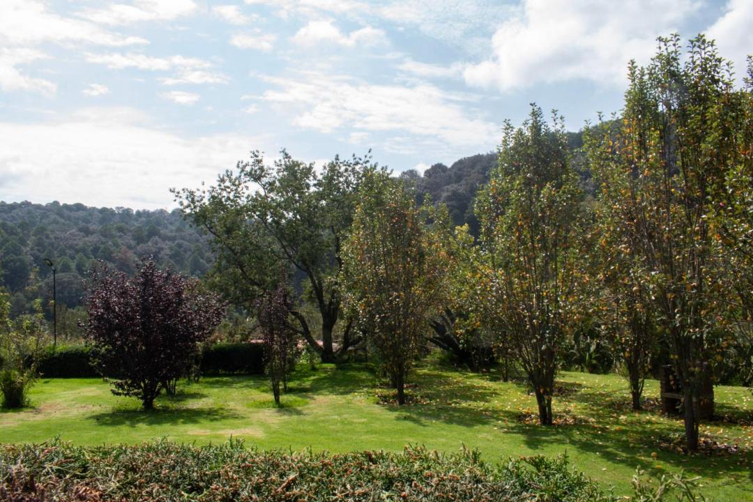 Photo of Others in Villa del Carbon