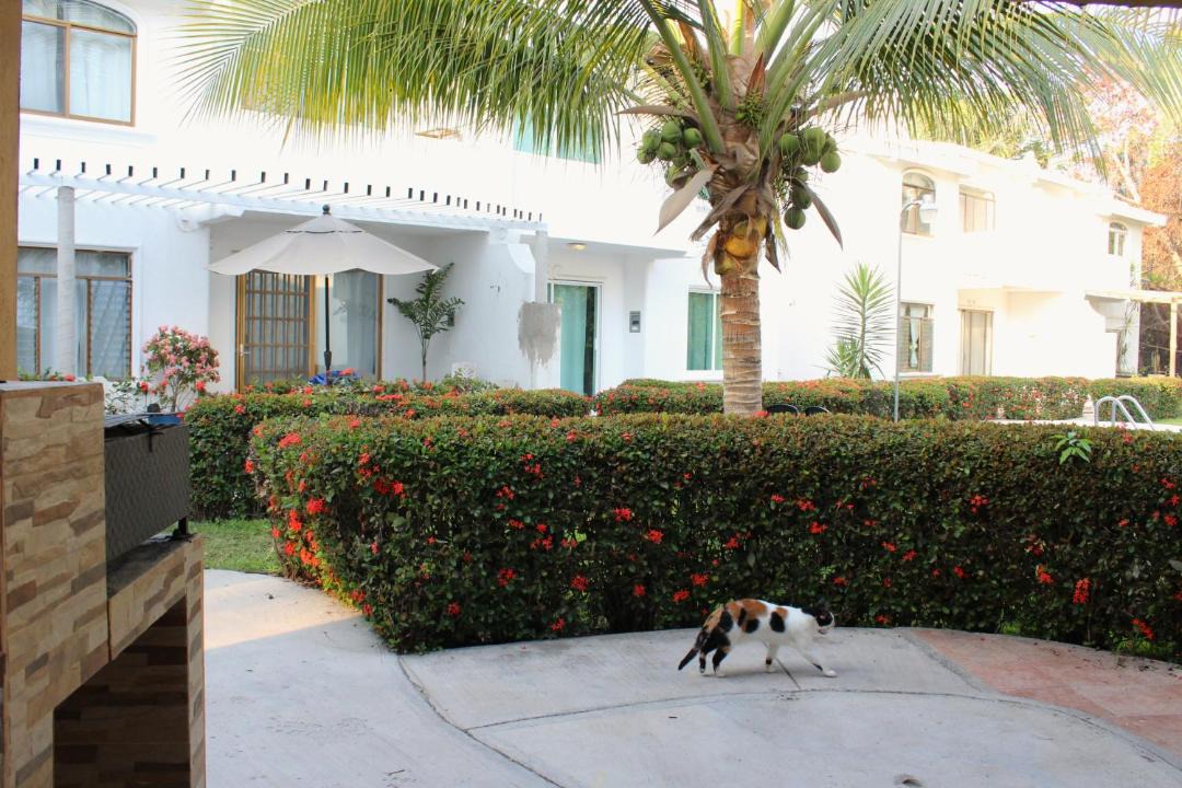 Photo of Buildings in Club Santiago