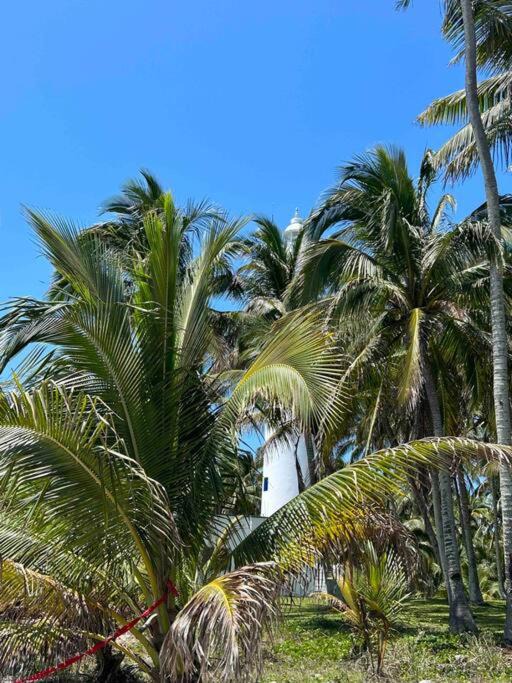 Photo of Others in Tamiahua