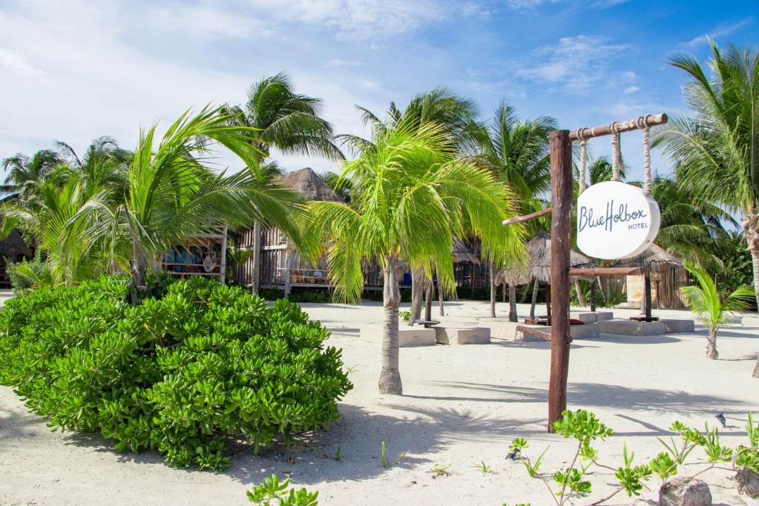 Photo of Others in Isla Holbox