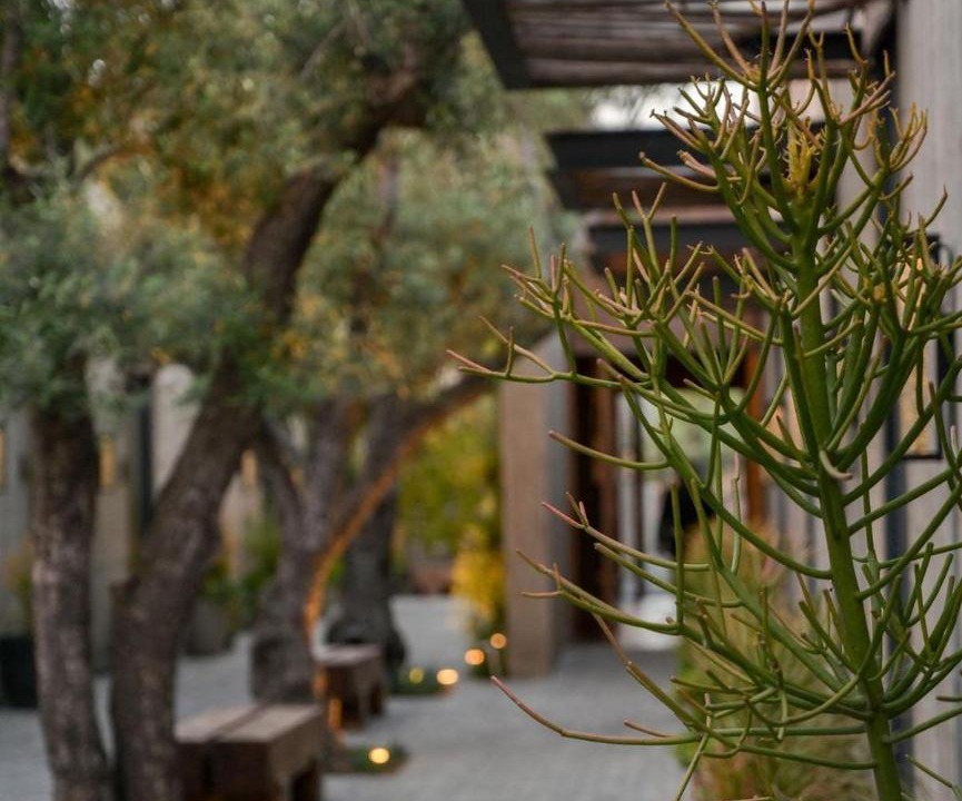 Photo of Others in Valle de Guadalupe