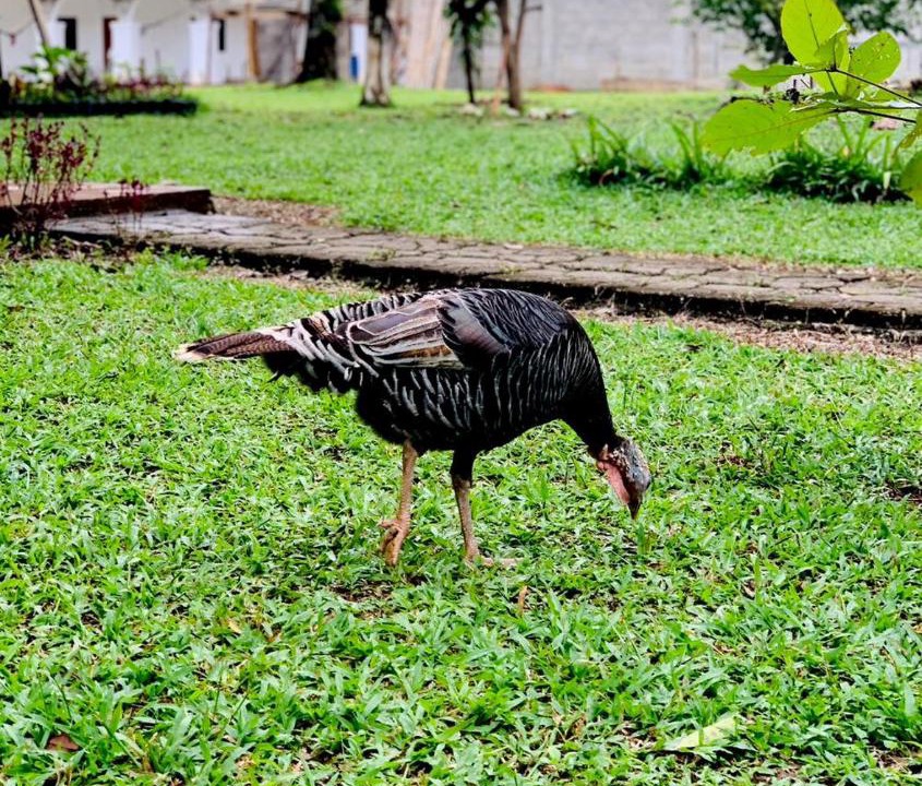 Photo of Others in Chahal