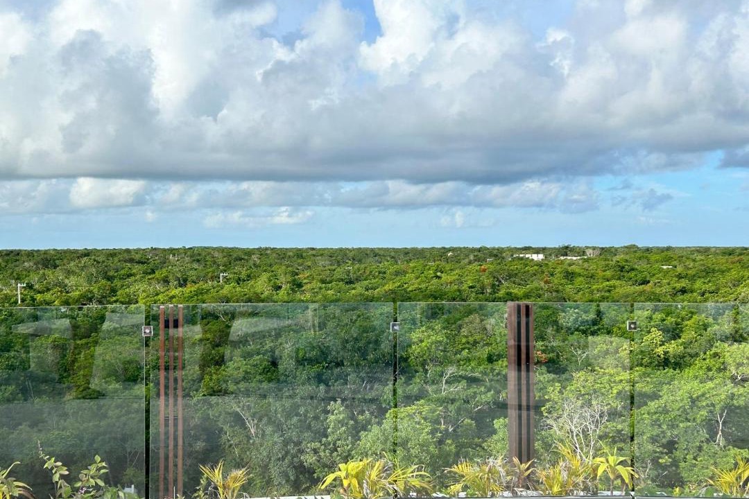 Photo of Others in Tulum