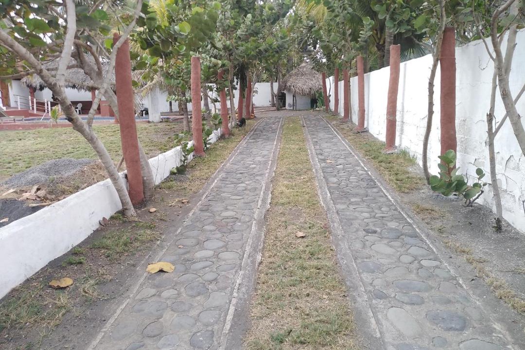 Photo of Others in Monterrico