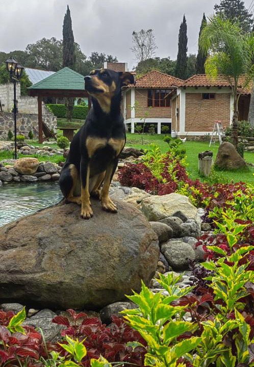 Photo of Others in Huasca De Ocampo