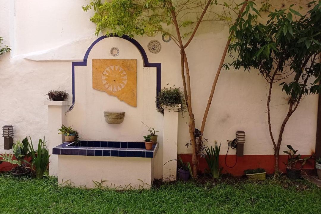 Photo of Others in Xalapa