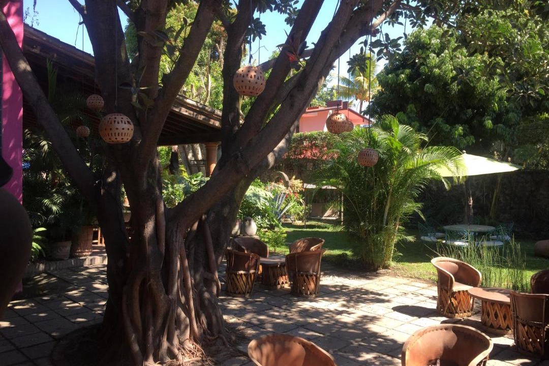 Photo of Others in Yautepec