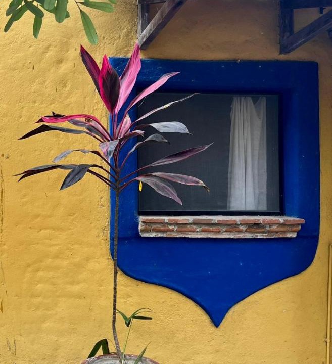 Photo of Others in Puerto Escondido
