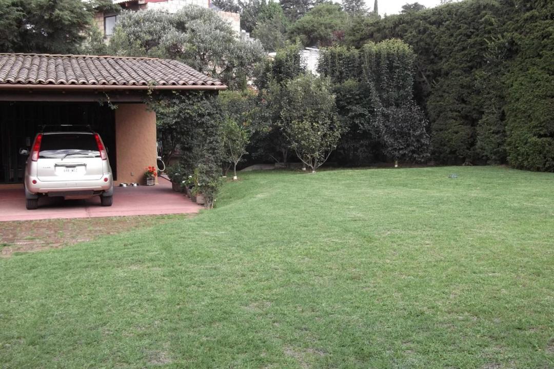 Photo of Others in Tlalpan