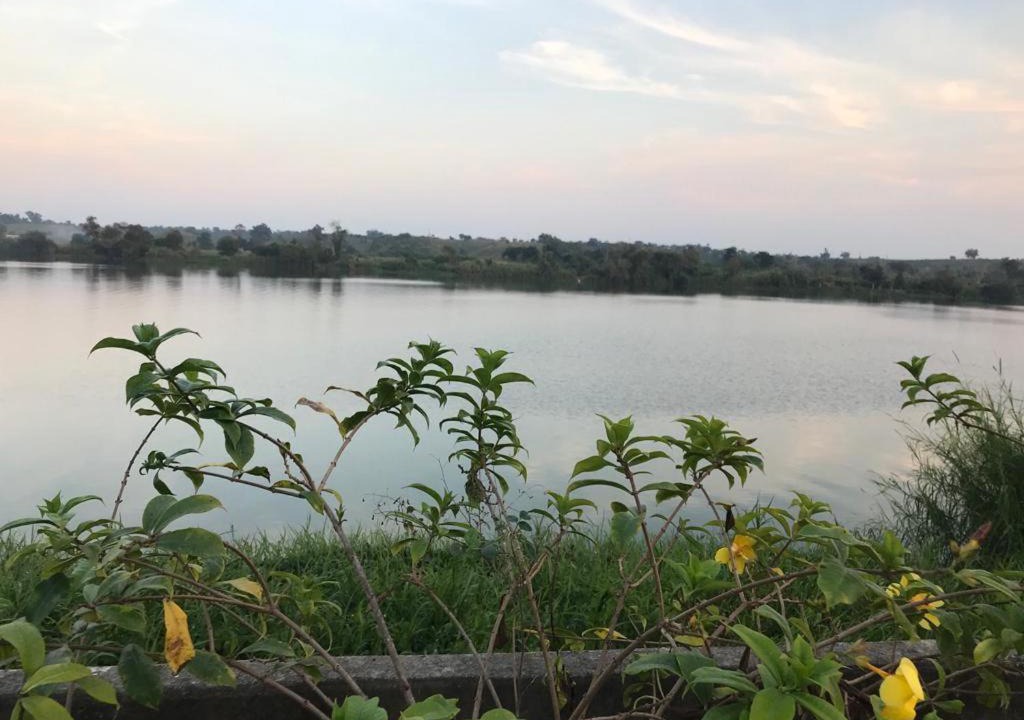 Photo of Others in Tecolutla