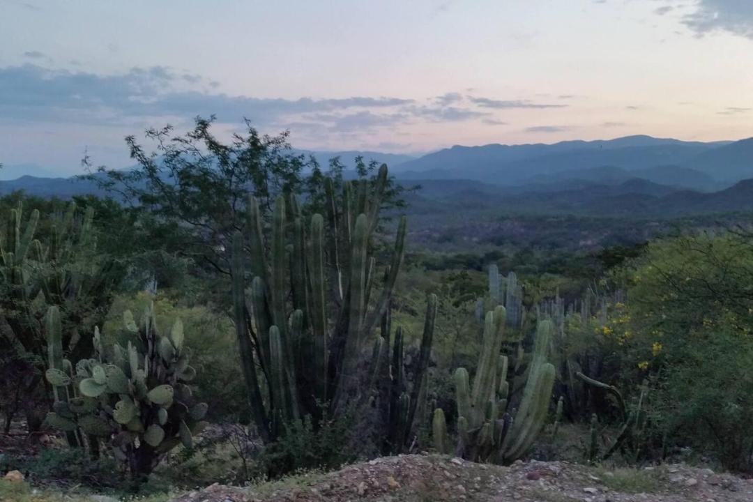 Photo of Others in Santa Maria Tecomavaca