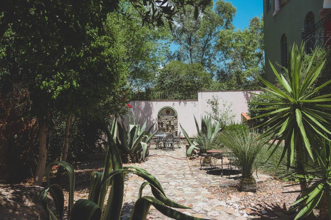 Photo of Others in San Miguel de Allende