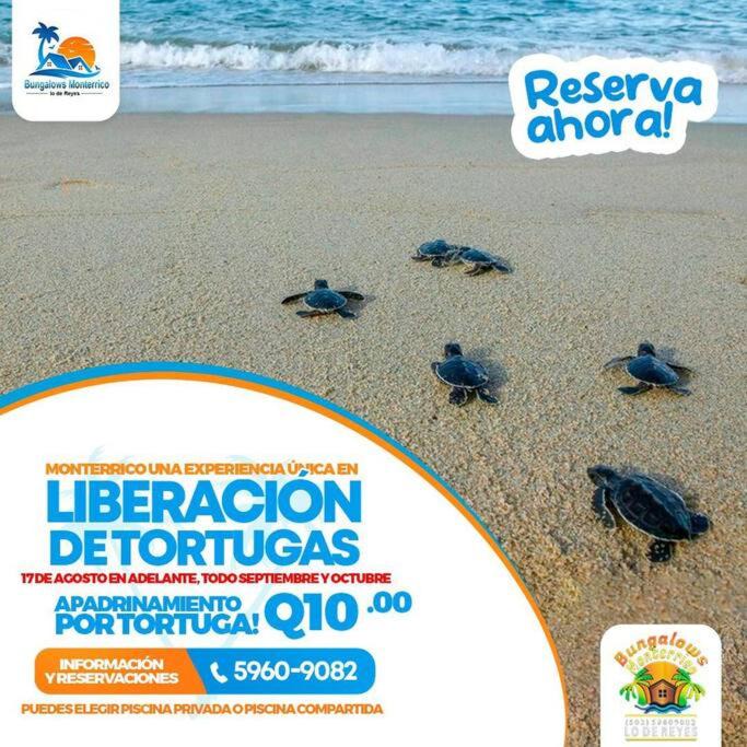Photo of Others in Monterrico