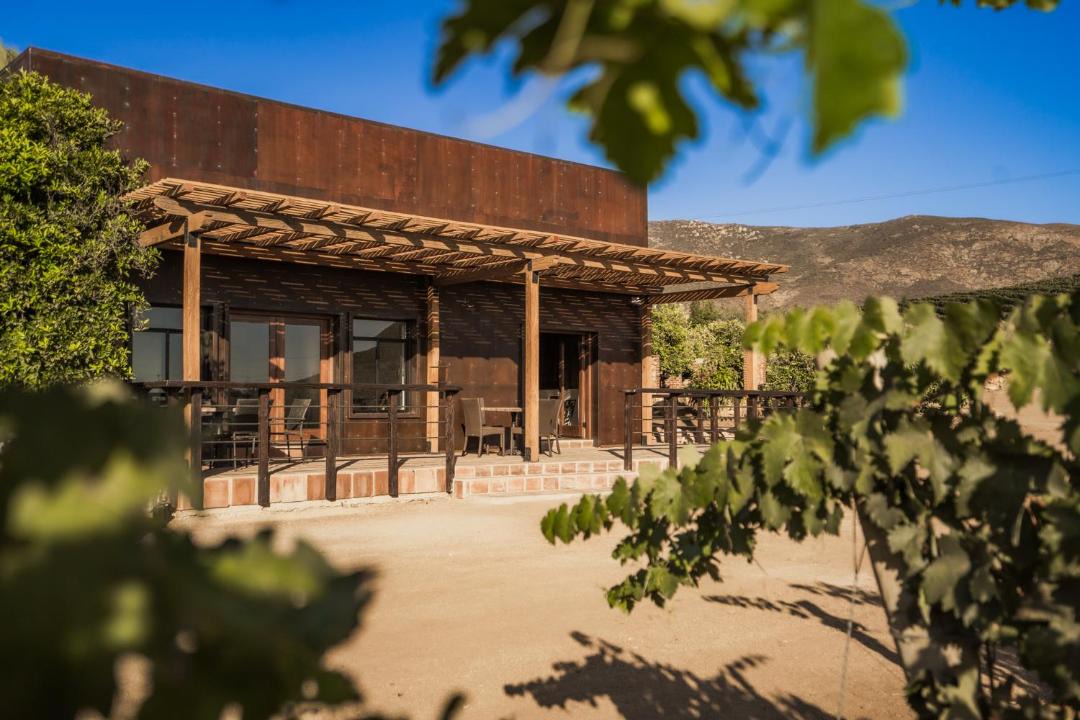Photo of Others in Valle de Guadalupe