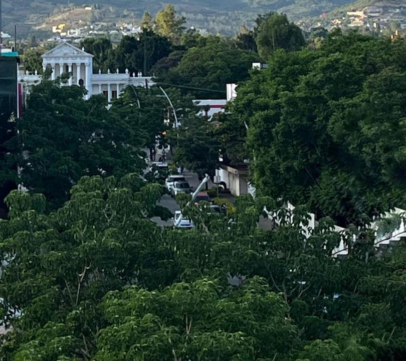 Photo of Others in Oaxaca