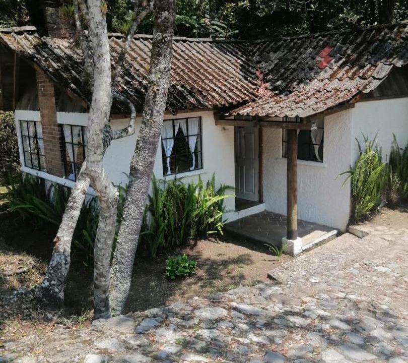 Photo of Buildings in Purulha
