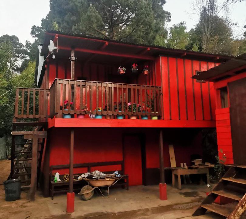 Photo of Others in San Sebastian Rio Hondo