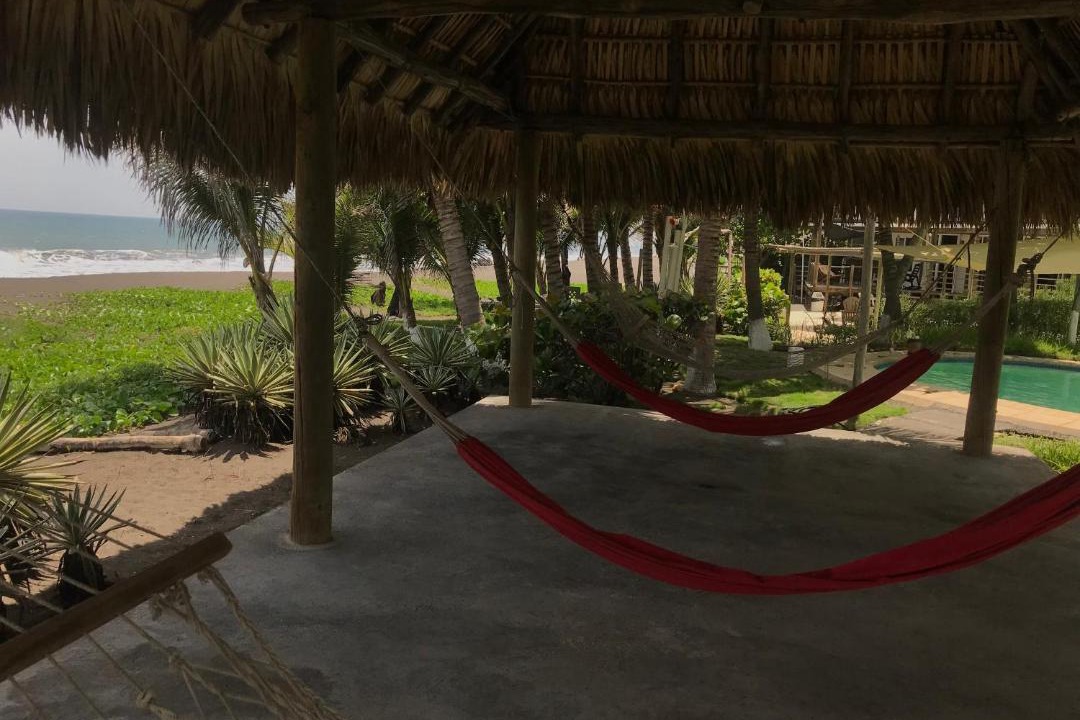 Photo of Others in Monterrico