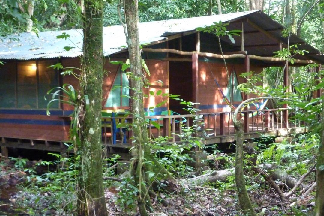 Photo of Others in Livingston