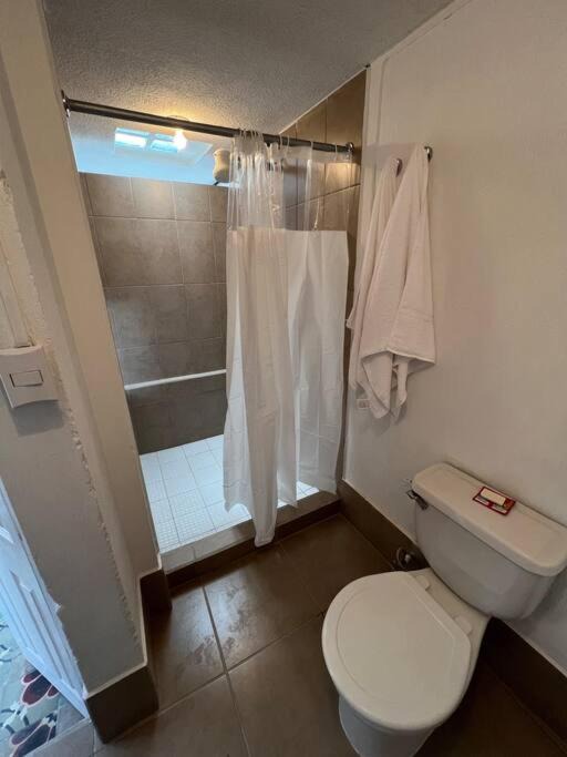 Photo of Bathroom in Zona 4