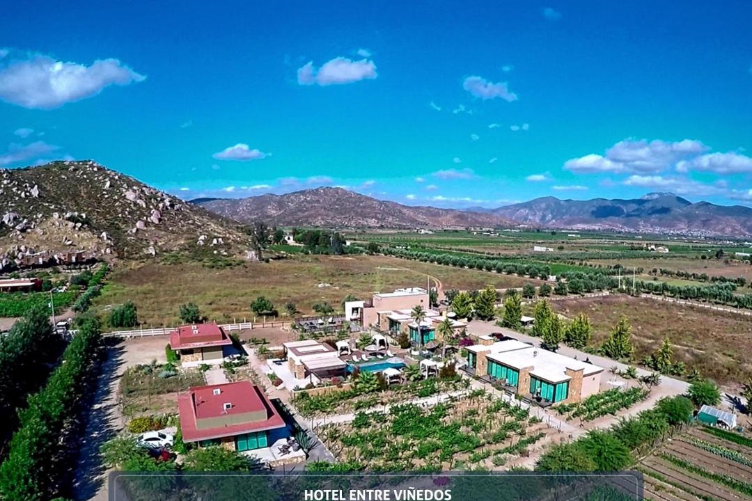 Photo of Others in Valle de Guadalupe