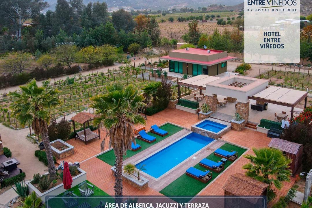 Photo of Others in Valle de Guadalupe