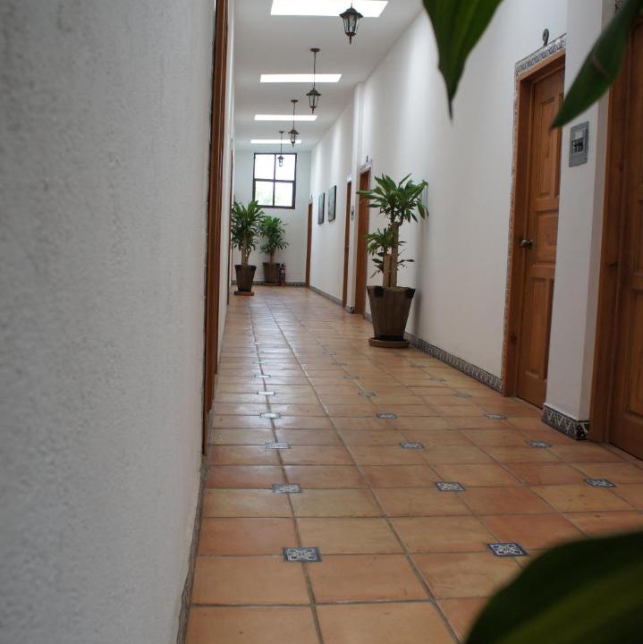 Photo of Others in Tepoztlan