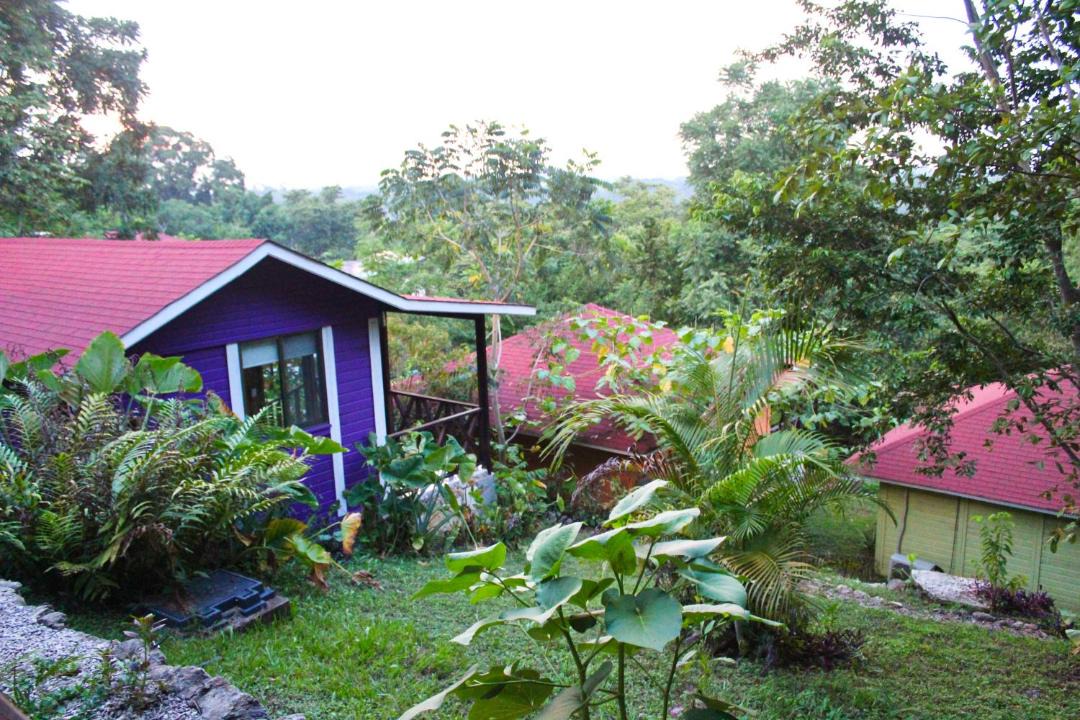 Photo of Others in Palenque