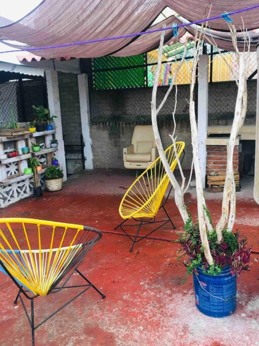 Photo of Others in Ixtapaluca