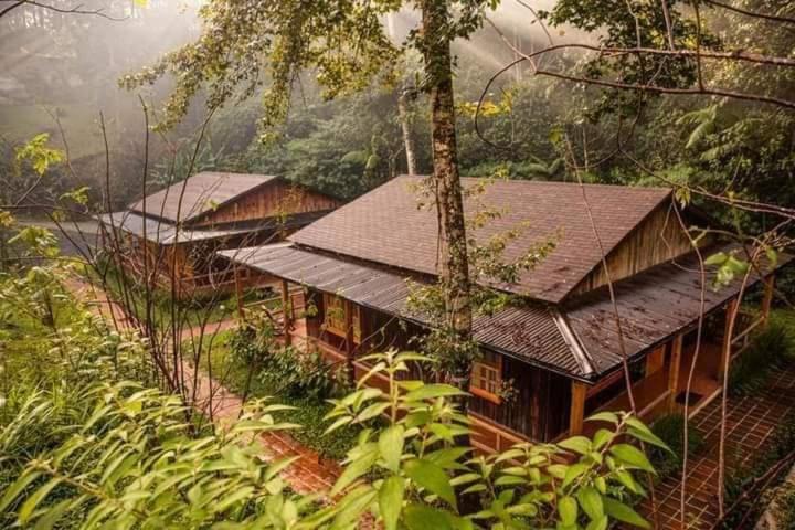 Photo of Others in Coban