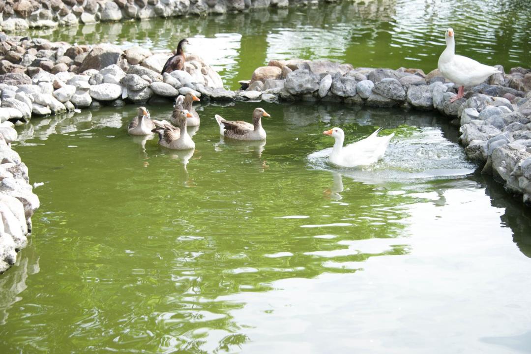 Photo of Others in San Jose Vista Hermosa