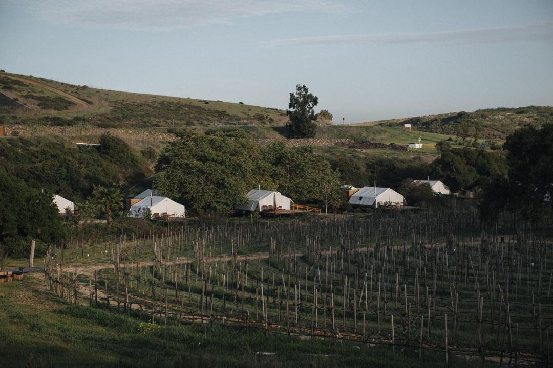 Photo of Others in El Sauzal